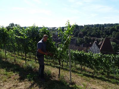 Closterweinberg, Weingut Jaggy