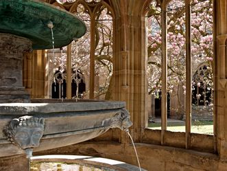 Kloster Maulbronn, Brunnenhaus, Dreischaliger Brunnen, Magnolie