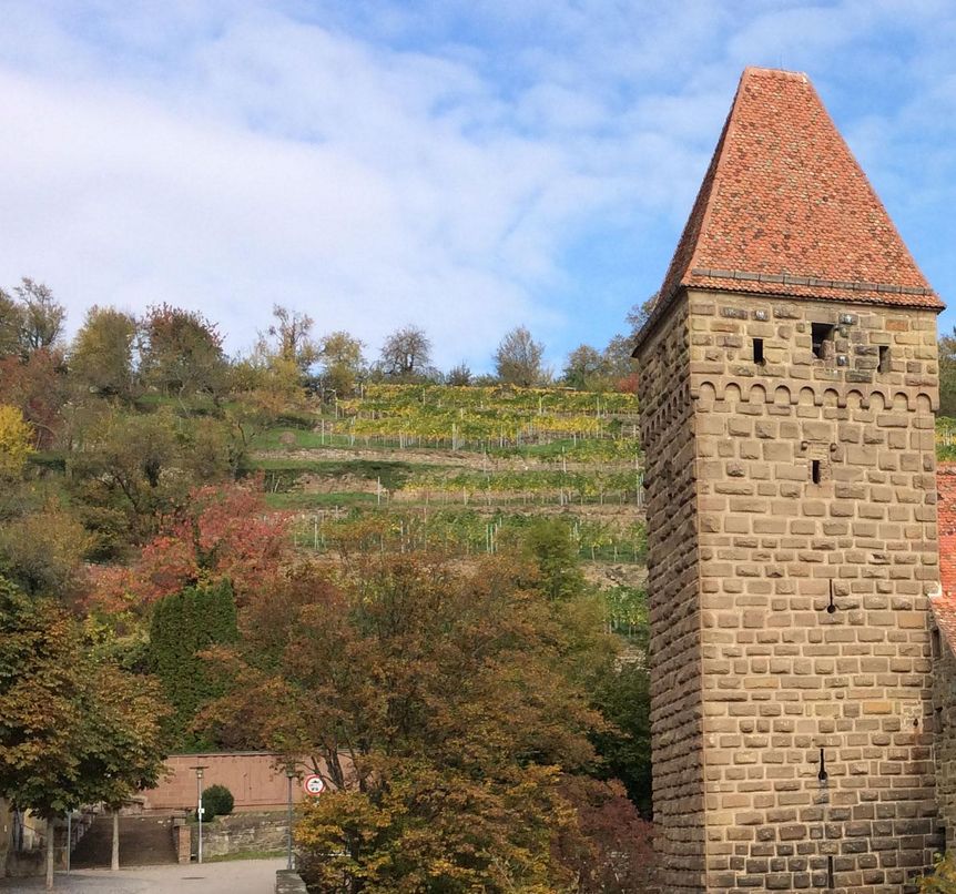 Vineyards behind Maulbronn Monastery