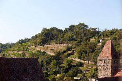 Kloster Maulbronn, Klosterweinberg; Foto: Staatliche Schlösser und Gärten Baden-Württemberg, Harry Keller