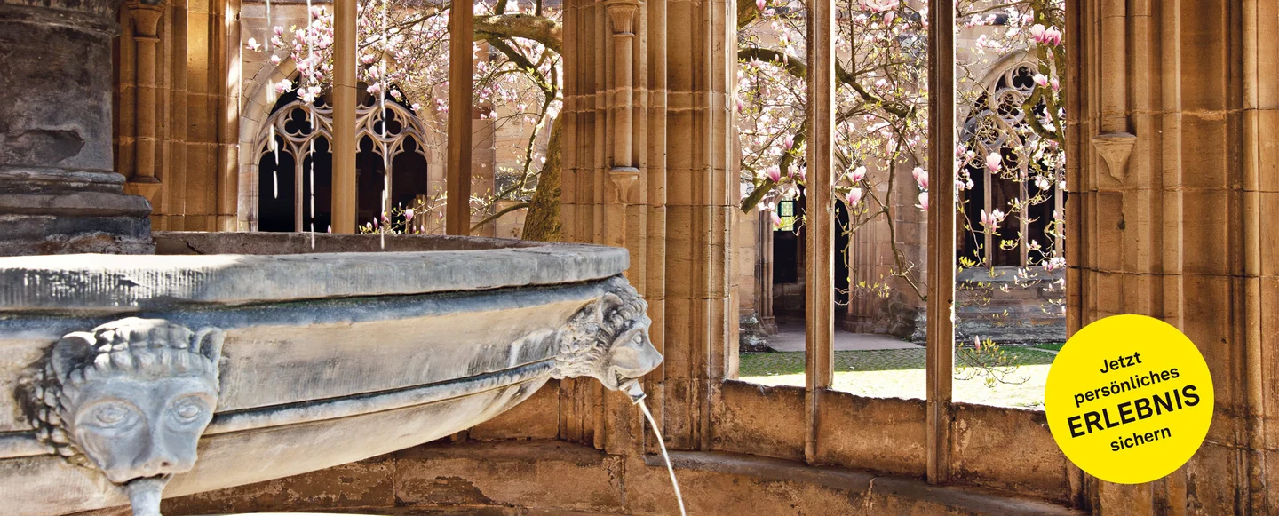 Kloster Maulbronn, Brunnen