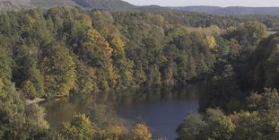 Tiefer See (deep lake) near Maulbronn Monastery