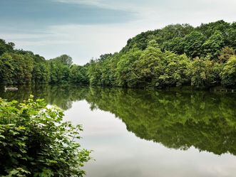 Lake near Maulbronn Monastery