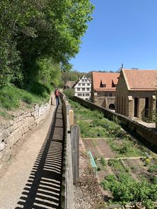 Kloster Maulbronn, Klostergarten