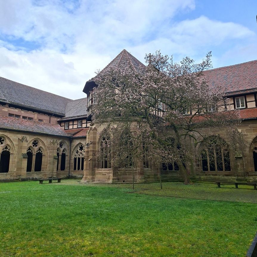 Kloster Maulbronn, Magnolienblüte am 17. März 2026