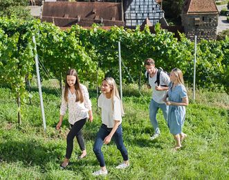 Kloster Maulbronn, Besucher im Klosterweinberg