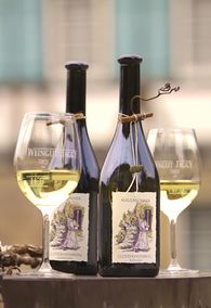 Foto: Staatliche Schlösser und Gärten Baden-Württemberg, Frank Jaggy Closterweinberg, Wein