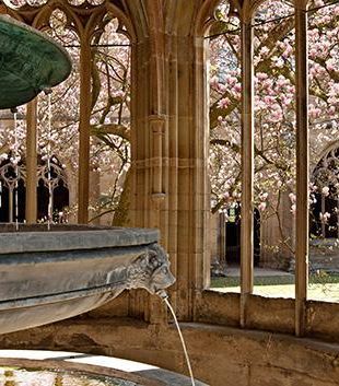 Monastère de Bebenhausen, jardins et cloître