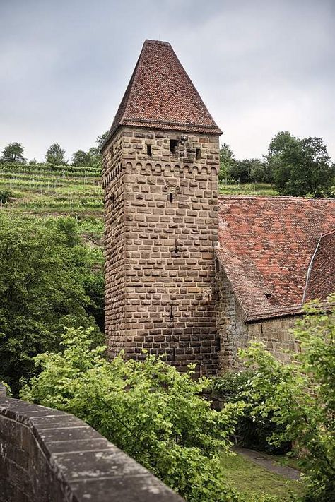 Maulbronn Monastery, view of the monastery tower